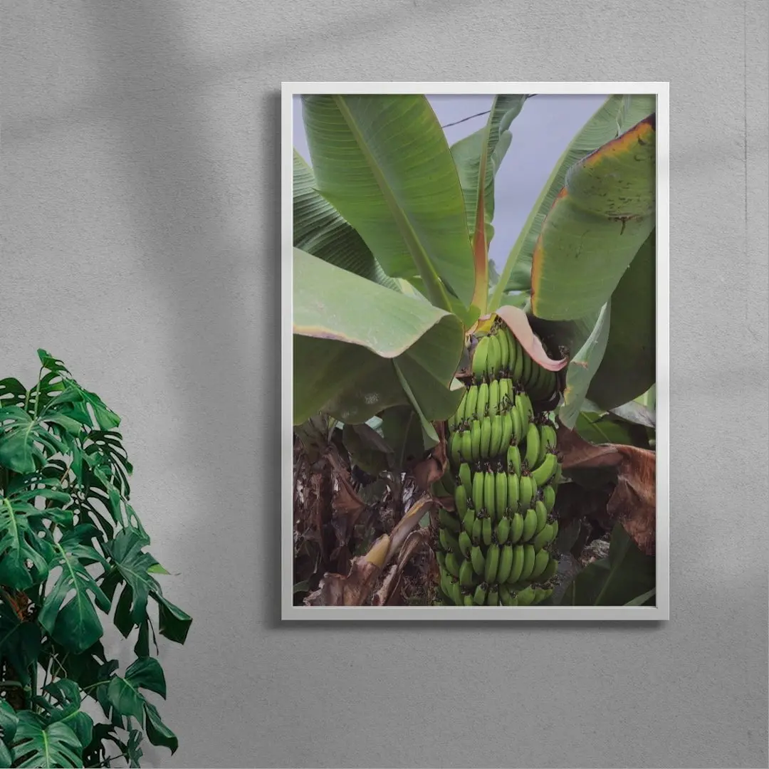 Banana Palm - UNFRAMED - Image 4