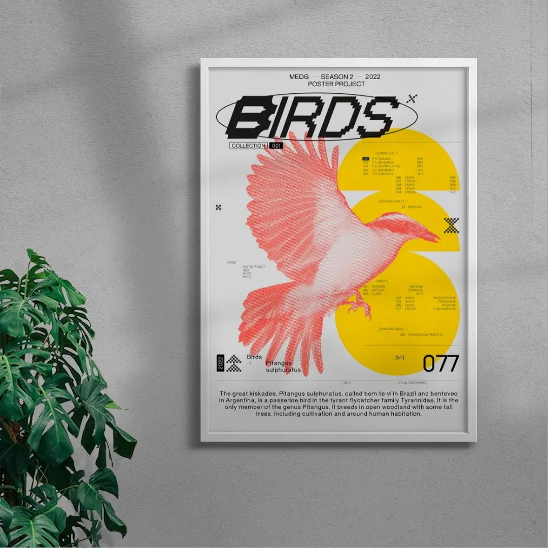 Birds - Image 5