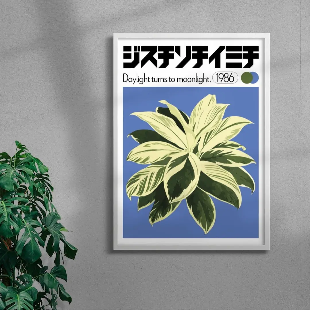Dracaena - Image 5