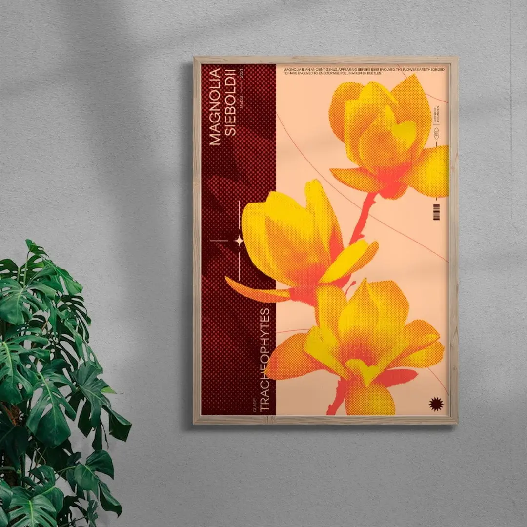 Magnolia - Image 5