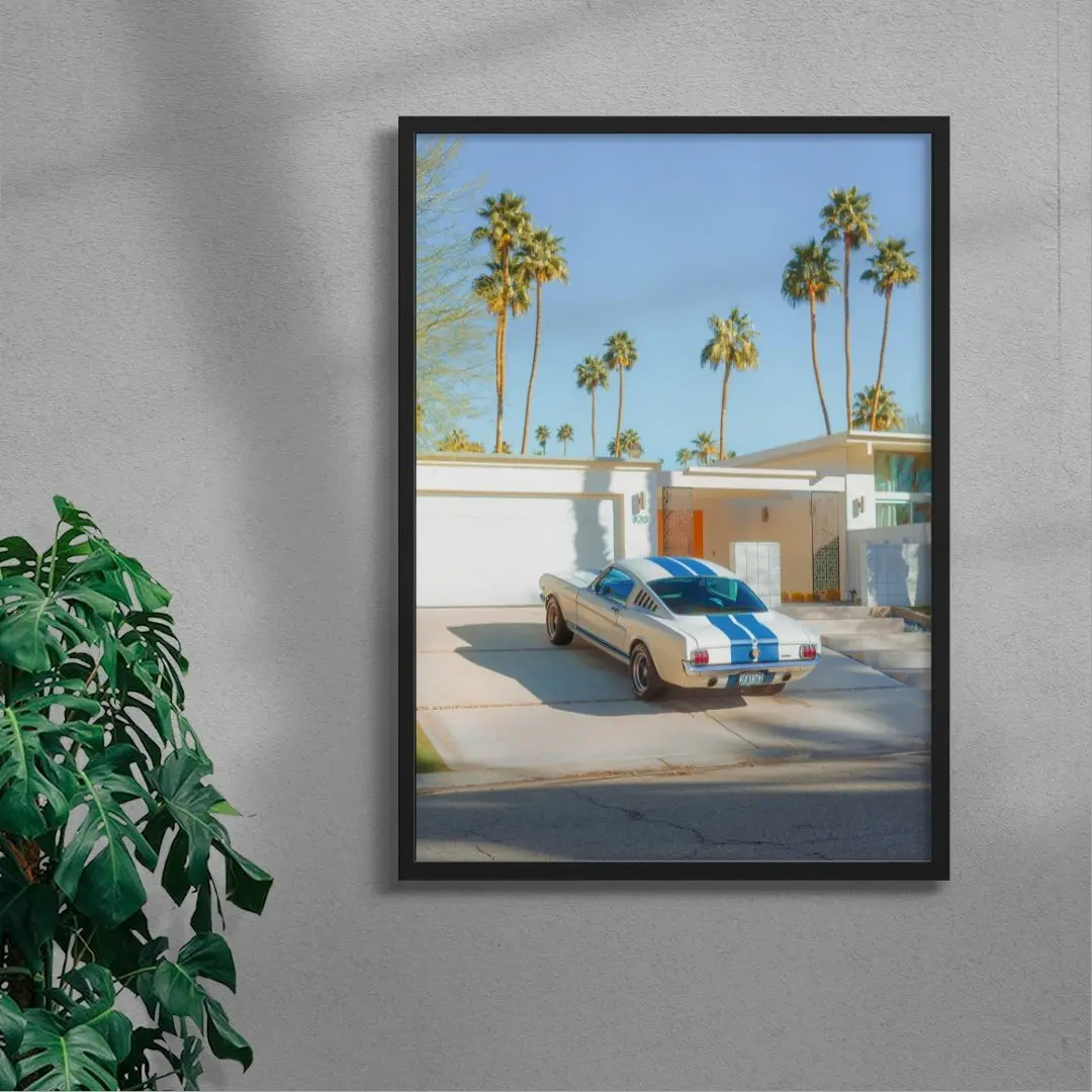 Mustang Paradise - Image 4
