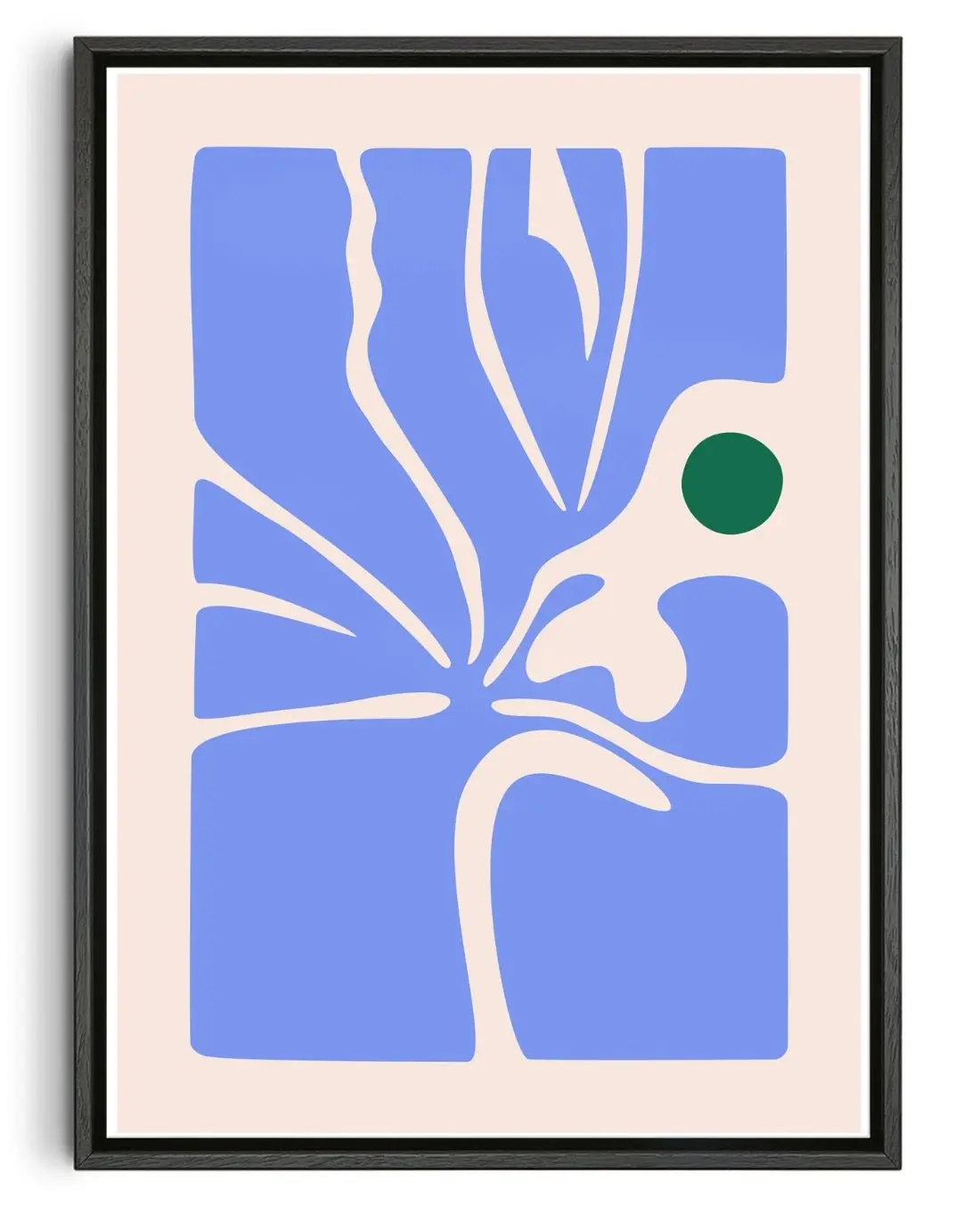 Oasis