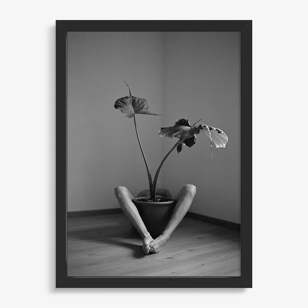 Symbiosis No. 2 - Image 5