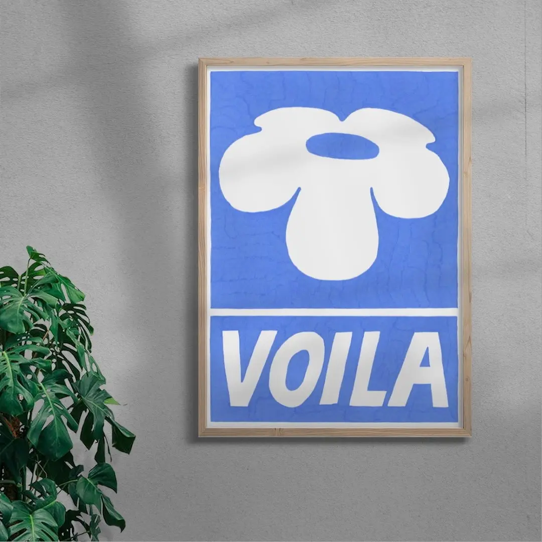 Voila - Image 5