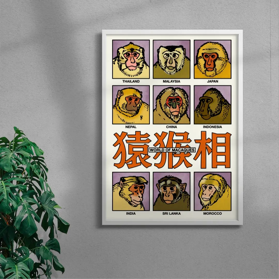 World of Macaques - Image 5